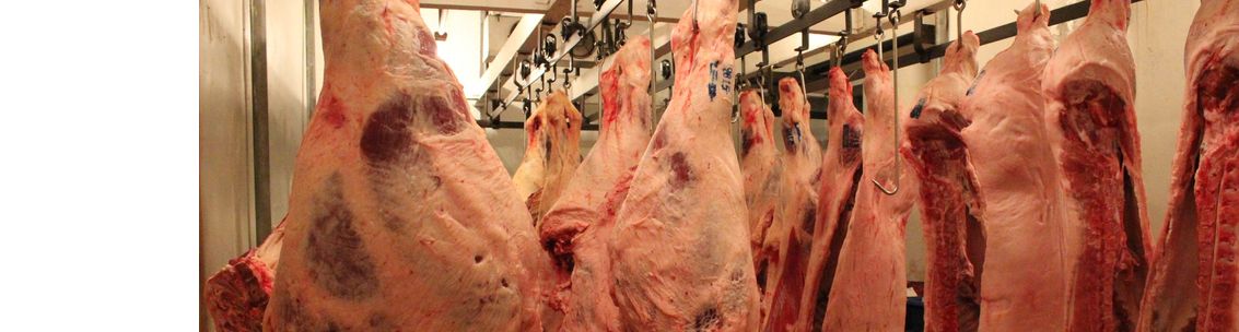 Smithville Food Lockers, Smithville TX