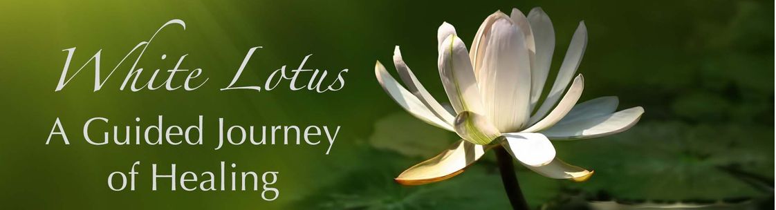 white lotus journey