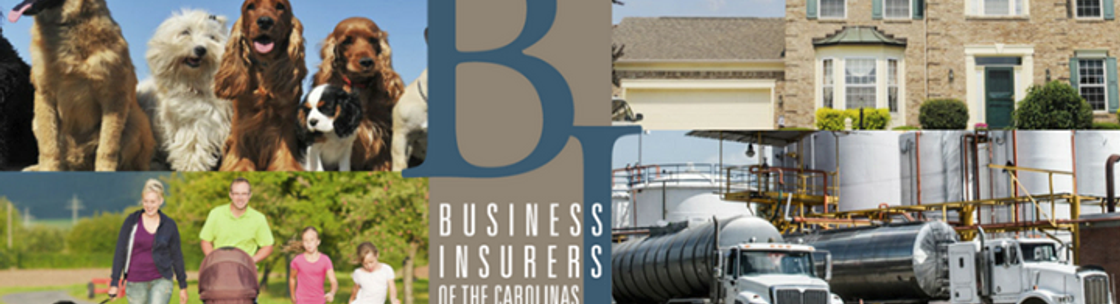 Business Insurers Of The Carolinas Chapel Hill Nc npa1