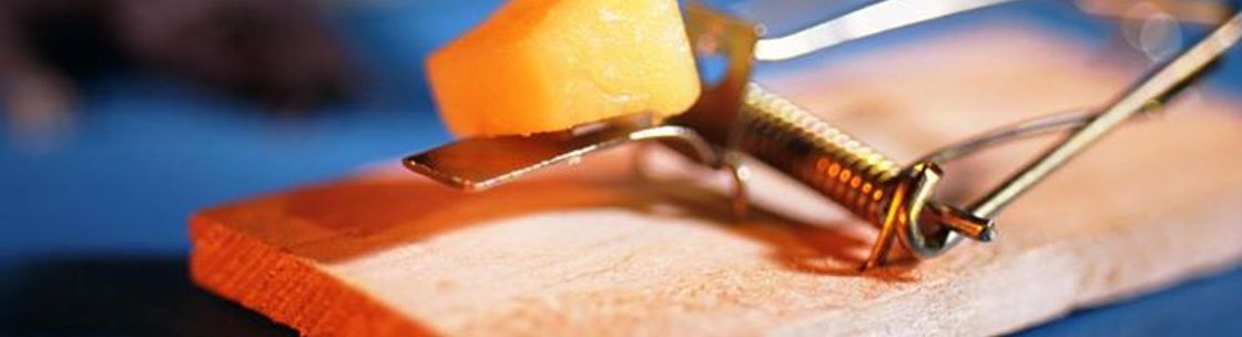 Jolly Roger Pest Control Co, Stafford VA