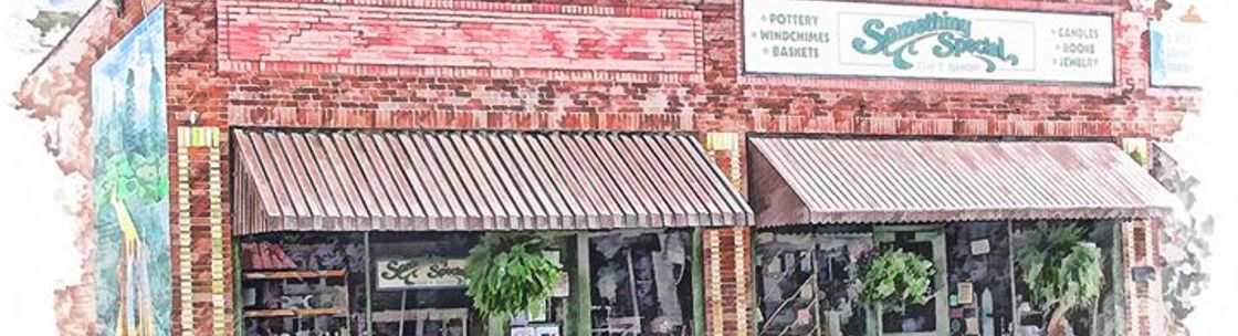 Something Special Gift Shop, Burnsville NC