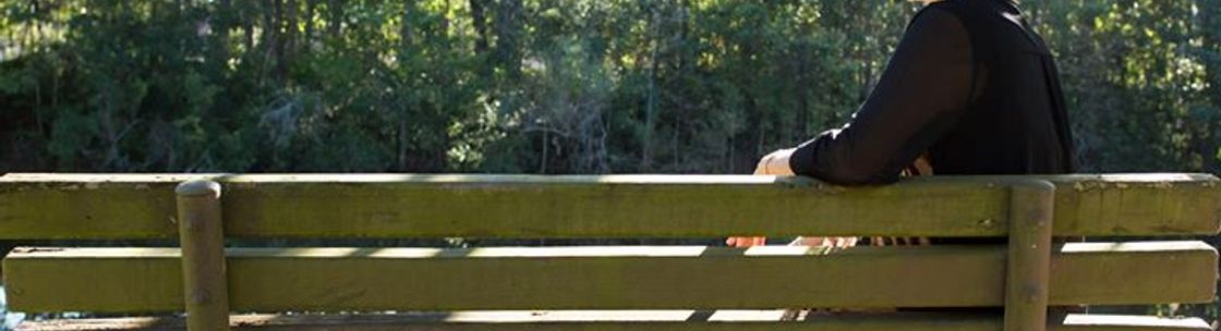 Dr June Gentle Chiropractor, Fleming Island FL