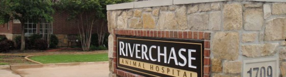 Riverchase Animal Hospital, Coppell TX