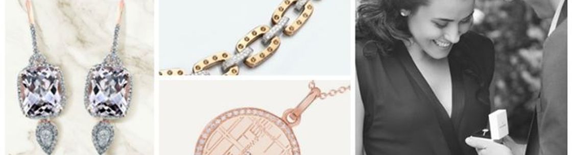 Shelle Jewelers, Northbrook IL