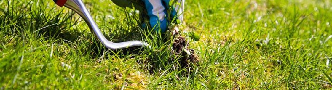 Ground Level Landscaping and Irrigation, Traverse City MI