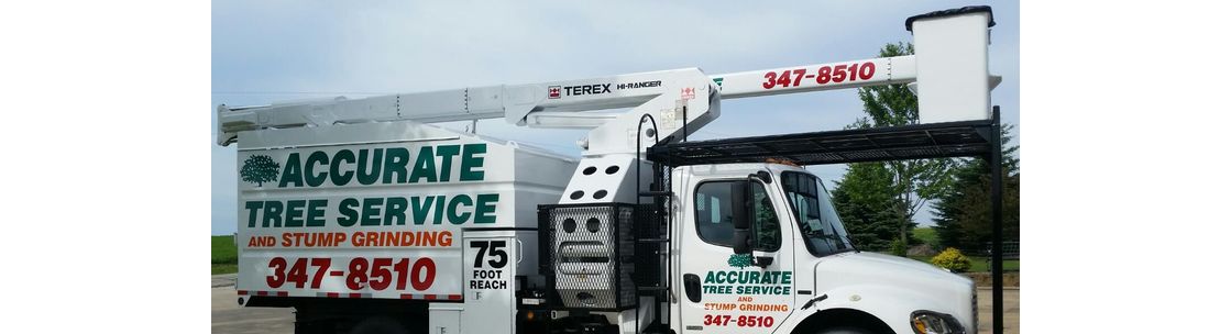 Accurate Tree Service and Stump Grinding, LLC - PHONE: 608-347-8510, Verona WI