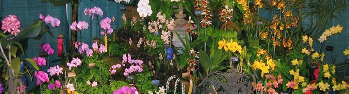 Maryland Home & Garden Show, Timonium MD