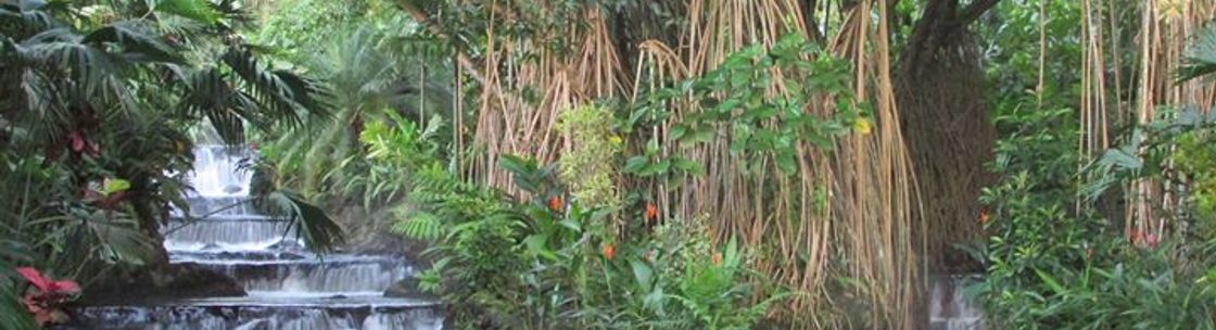 Phoenix Rising Acupuncture LLC, Southbury CT