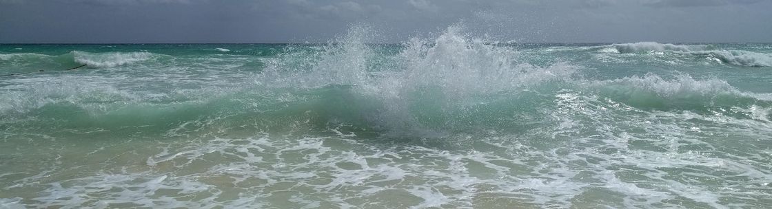 Medical Botany Research, Delta BC