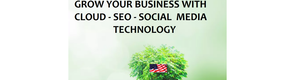 Cyber-Tech Solutions, Orlando FL