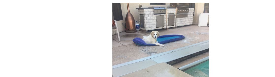 Gary’s pool service, Las Vegas NV