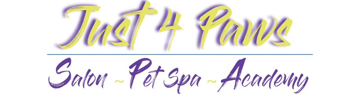 just for paws pet spa