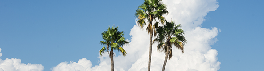 Weaver & Associates Insurance, Arcadia CA