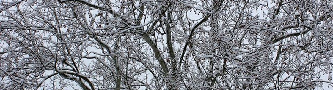 Anne Coleman Photography, Rosendale NY