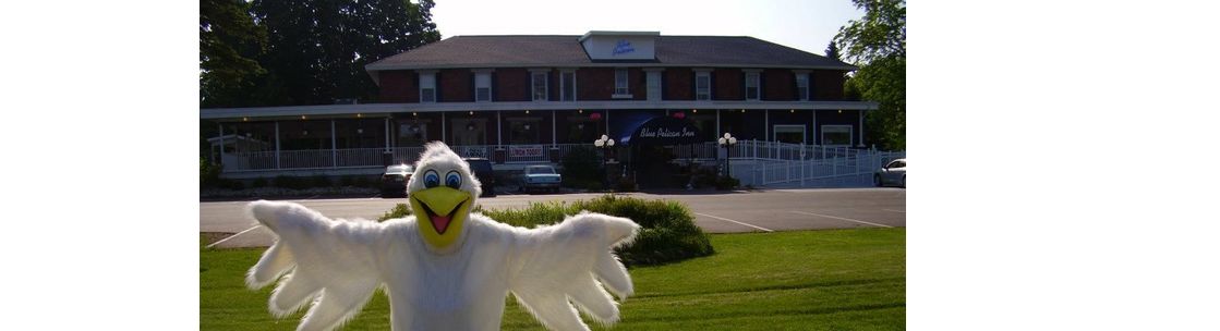Blue Pelican, Central Lake MI
