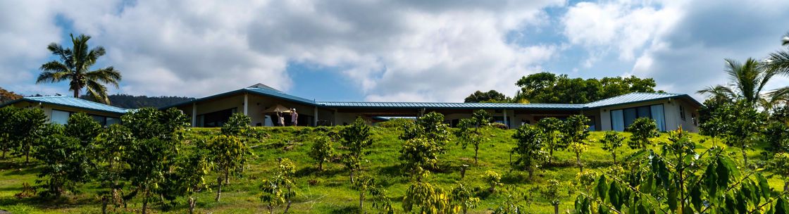 Pele Plantations Organic Kona Coffee Farm, Honaunau HI