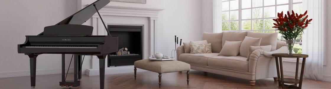 Mitchell's Piano Gallery, Inc., Winston-Salem NC