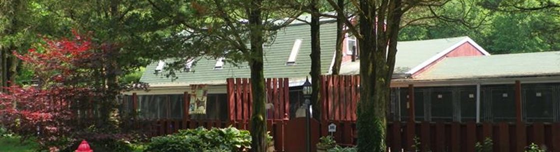 Creature Comforts Animal Inn Llc North Stonington Alignable