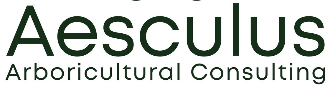 Aesculus Arboricultural Consulting, Mountain View CA