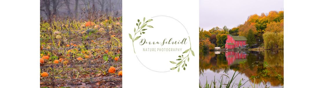Donna Schmidt Photography, Washington NJ