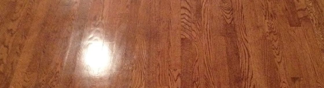 Spotlezz Carpet Cleaning, New Bedford MA