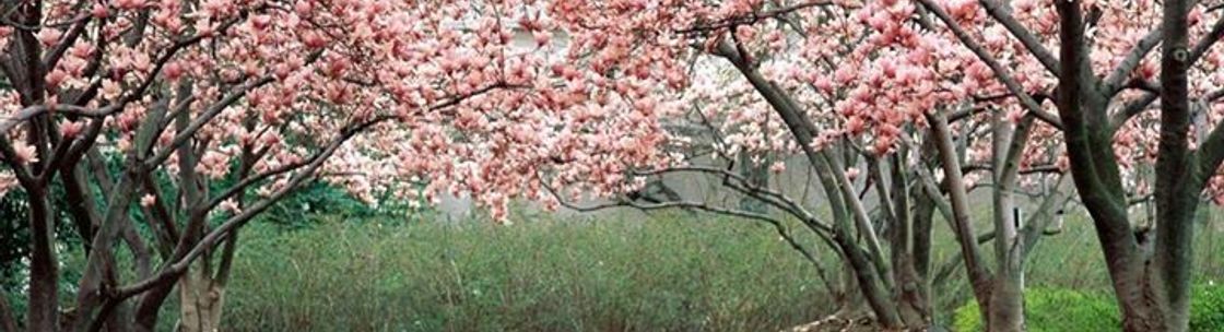 TriCity Insurance Service Inc Florence, KY Alignable