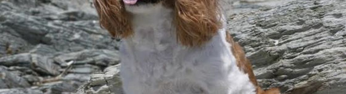 EarthWise Pet, Turnersville NJ