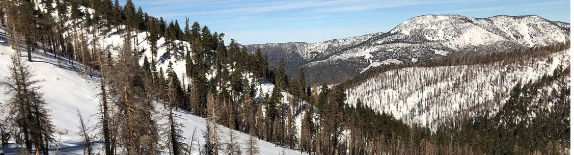 Kenji Consults, Culver City CA
