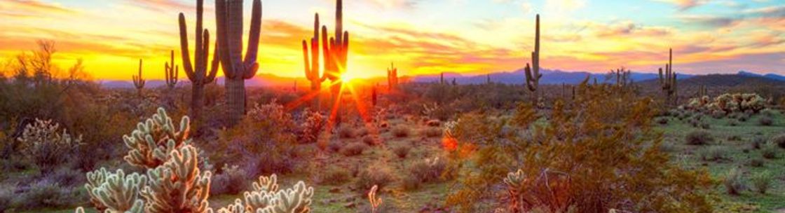 Clements Agency, Scottsdale AZ