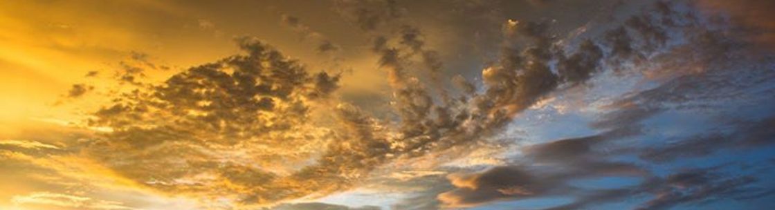 Tamara Magnitsky Photography, Dobbs Ferry NY