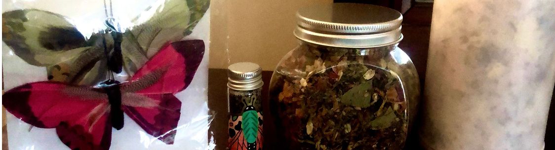 EZ Cleaning Solutions & Mobile Notary , Silver Spring MD