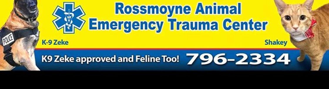 Rossmoyne best sale animal clinic