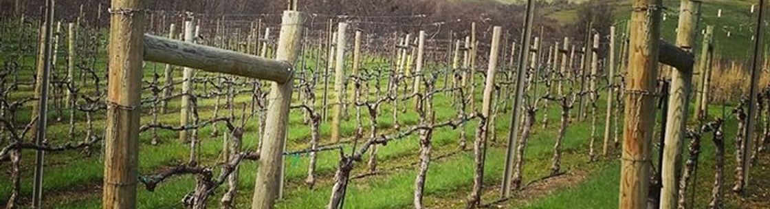 Grizzly Peak Winery, Ashland OR