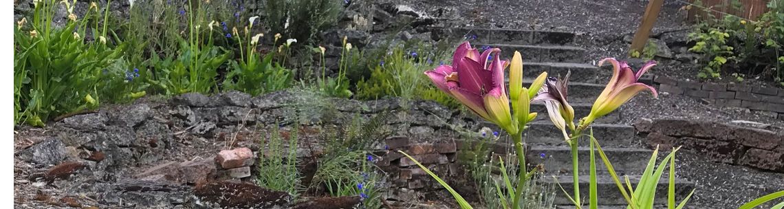 CristyVankleek.com, Salem OR