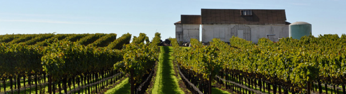 Vanguard Cleaning Systems of the North Bay, Petaluma CA