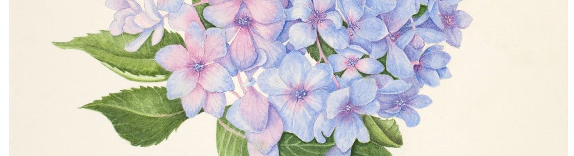 Carolyn Patterson Fine Art, Dallas TX
