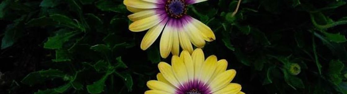 Revitalize Life Coaching, Minneapolis MN