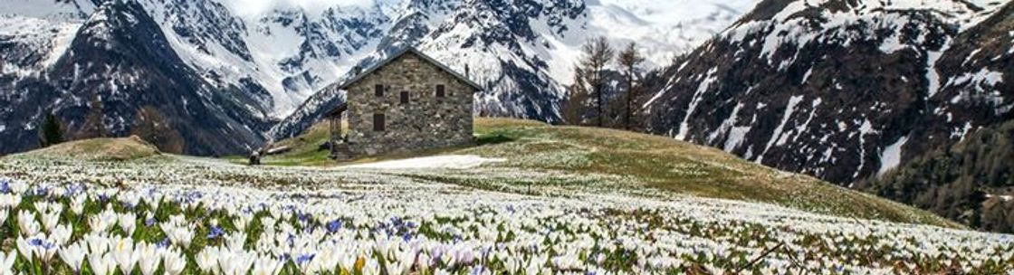 Main Street Eatery & Catering ca, Lynchburg VA