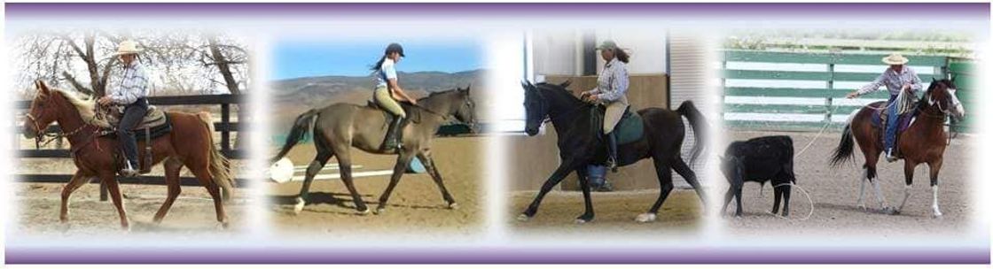Karyn Shirley Horsemanship, Gardnerville NV