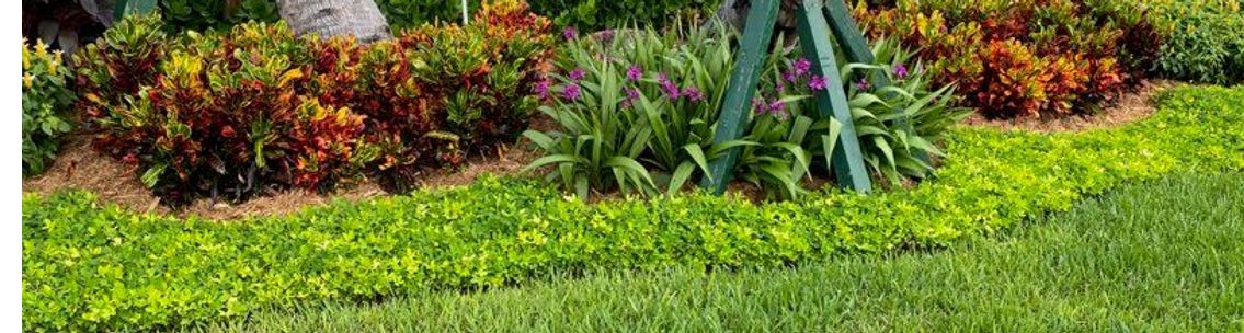 Rose Lawn Care Homestead Fl Alignable, Rock And Rose Landscaping