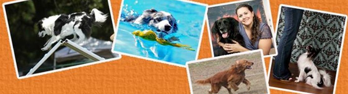 Courteous Canine, Inc. , Lutz FL