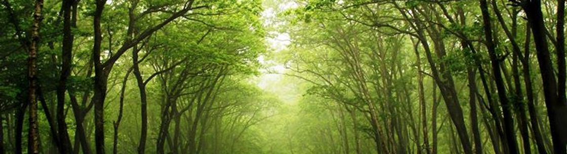 Northeast Earth Coalition, Montclair NJ