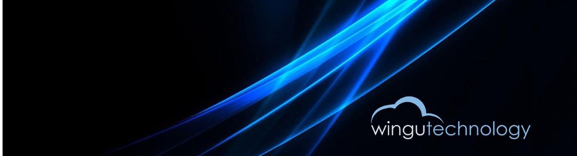 Wingu Technology, LLC, Wesley Chapel FL