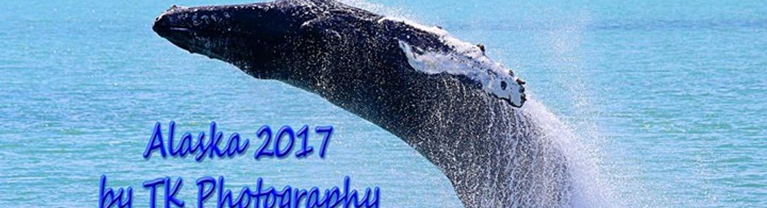 TK Photography, Englewood FL
