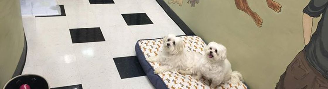 The Pet Spa at Brook's Edge, Marlboro NJ