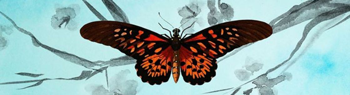 Kodawari Studios, Tampa FL