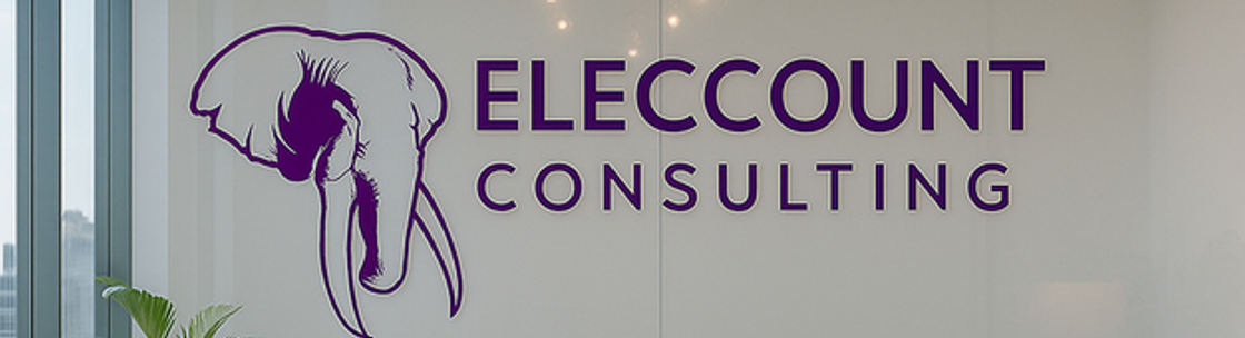 Eleccoung Consulting LLC - Accounting and Fractional CFO, Towson MD