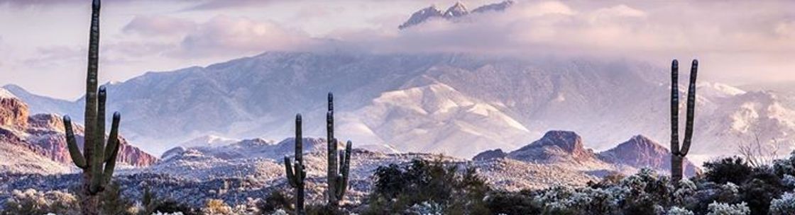 Greenwood Contracting, Phoenix AZ