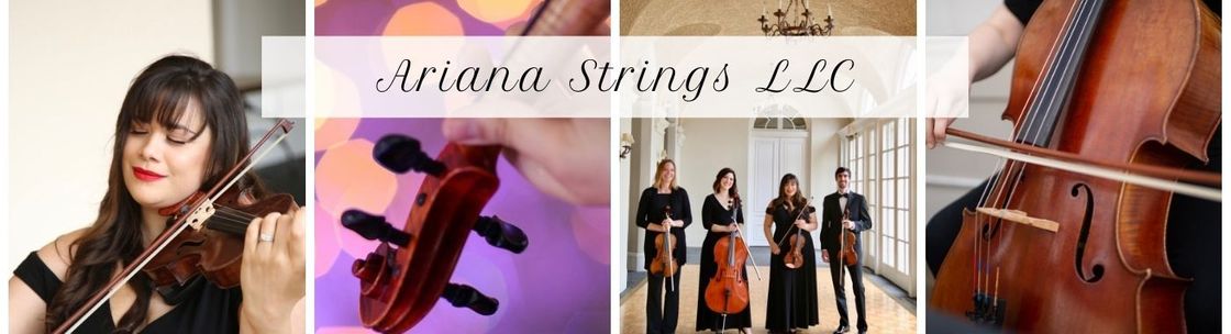 Ariana Strings LLC, Southington CT