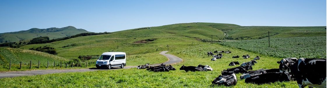 Food and Farm Tours, Point Reyes Station CA